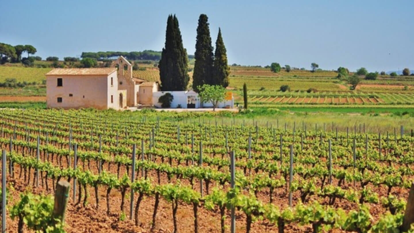 Muévete por el cero en Les Cabanyes