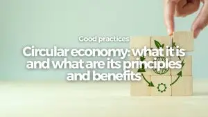Circular economy: what it is and what are its principles and benefits
