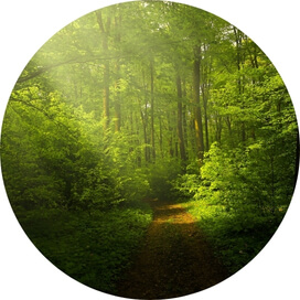 Conservación de recursos naturales