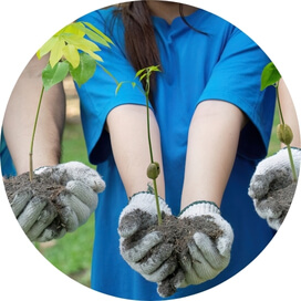 Desarrollo de Competencias del Siglo XXI