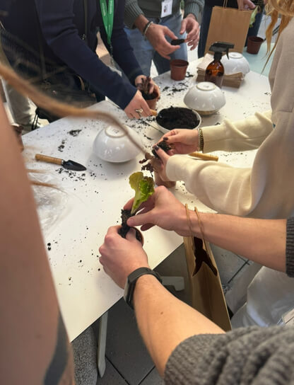 FAQs Teambuilding sostenible