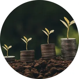 Eficiencia Económica