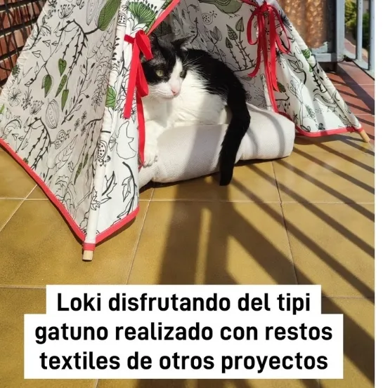 Què es va fer a Mou-te pel zero amb Secartys