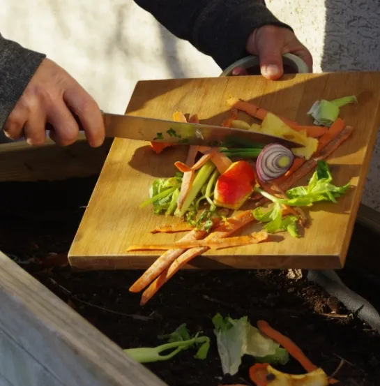 Imagen de una persona que hace compost casero