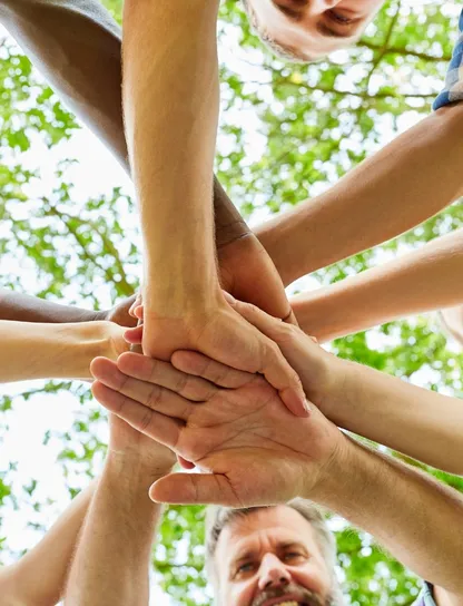 Grupo de personas uniendo las manos en círculo bajo árboles frondosos, simbolizando la cohesión de equipo lograda a través de las actividades de team building sostenible de Go Zero Waste