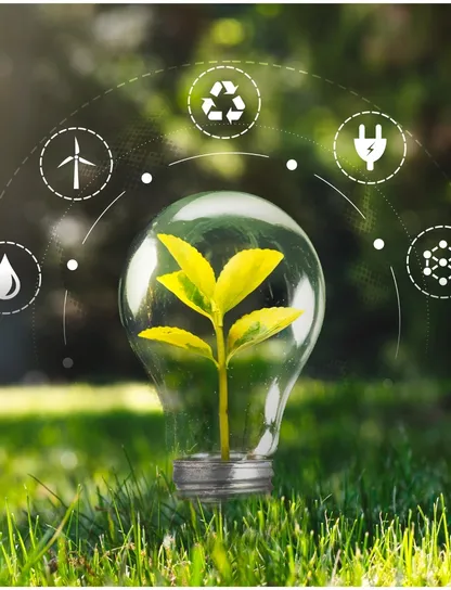 Bombilla con una planta en su interior rodeada de iconos de sostenibilidad como reciclaje, energía eólica y solar, representando las preguntas frecuentes sobre formación FUNDAE en sostenibilidad