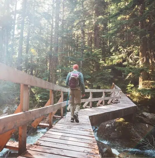 Persona con mochila caminando por un puente de madera en un bosque frondoso, representando las actividades de team building en plena naturaleza de Go Zero Waste