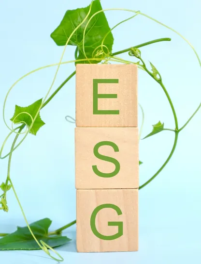 Bloques de madera apilados con las letras ESG envueltos por una planta trepadora verde, representando los criterios ambientales, sociales y de gobernanza que recoge el estándar VSME para pymes