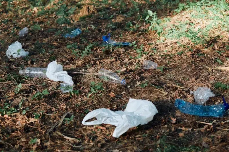 Plastic bottles and bags littered on the ground in a natural setting, illustrating SDG 12 on responsible production and consumption