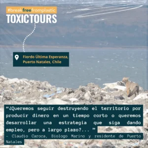 Guineu caminant entre residus plàstics a la vora del fiord Última Esperanza, a Puerto Natales, Xile